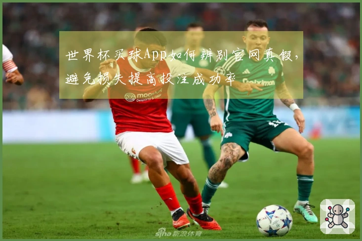世界杯买球App如何辨别官网真假，避免损失提高投注成功率