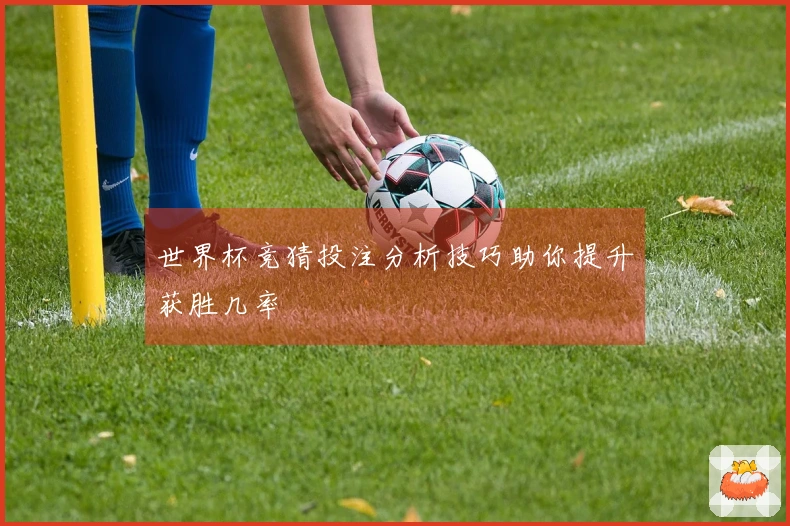 世界杯竞猜投注分析技巧助你提升获胜几率