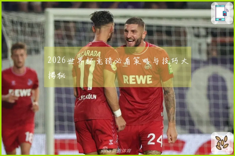 2026世界杯竞猜必看策略与技巧大揭秘
