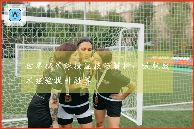 世界杯买球投注技巧解析，吸取战术经验提升胜算