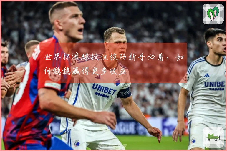 世界杯滚球投注技巧新手必看，如何稳稳赢得更多收益