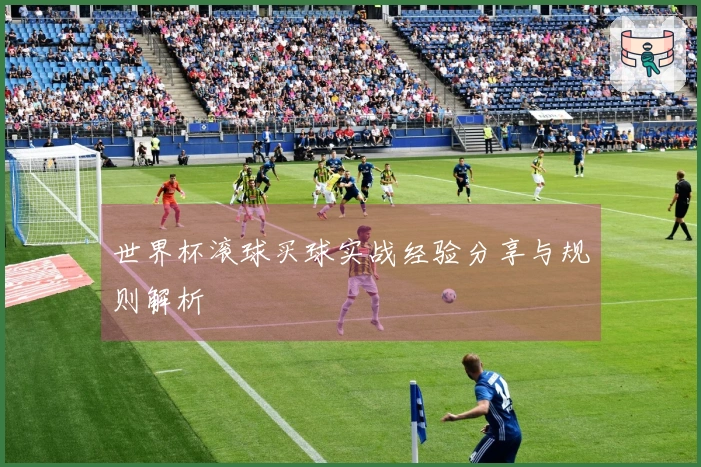 世界杯滚球买球实战经验分享与规则解析