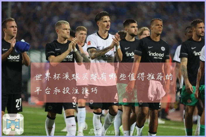 世界杯滚球买球有哪些值得推荐的平台和投注技巧
