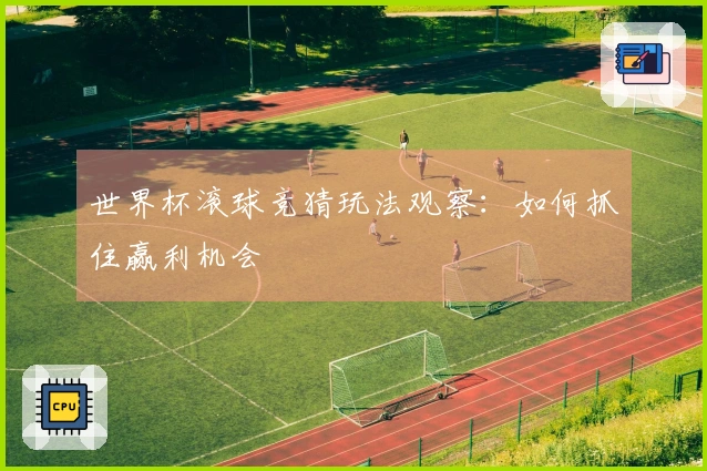 世界杯滚球竞猜玩法观察：如何抓住赢利机会