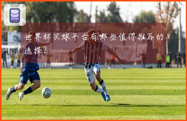 世界杯买球平台有哪些值得推荐的选择？