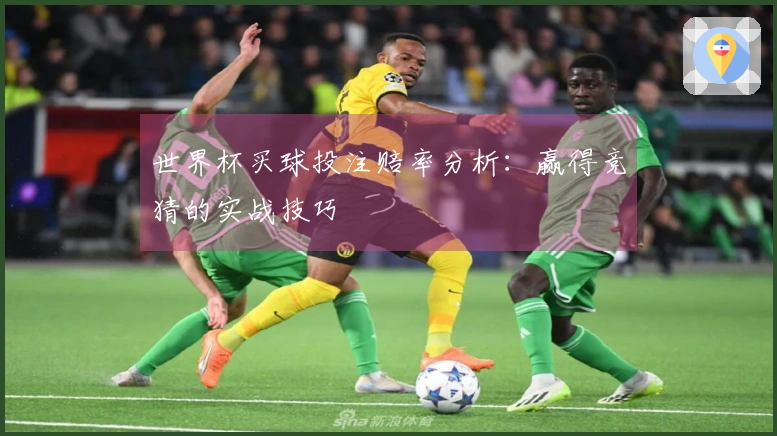 世界杯买球投注赔率分析：赢得竞猜的实战技巧