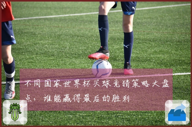 不同国家世界杯买球竞猜策略大盘点，谁能赢得最后的胜利