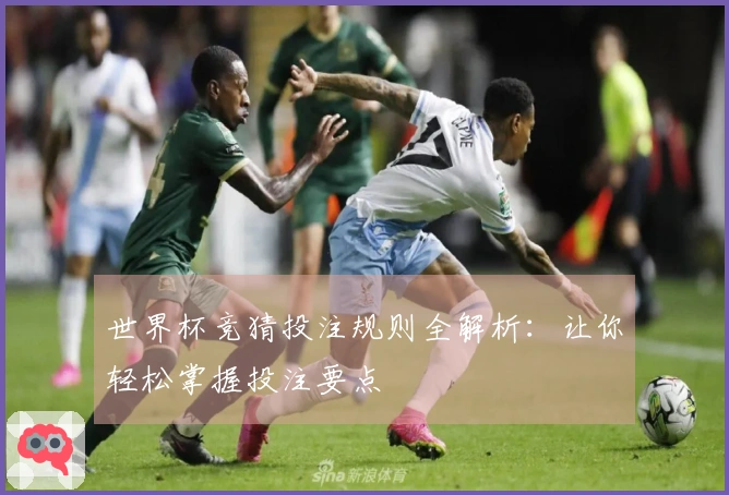 世界杯竞猜投注规则全解析：让你轻松掌握投注要点