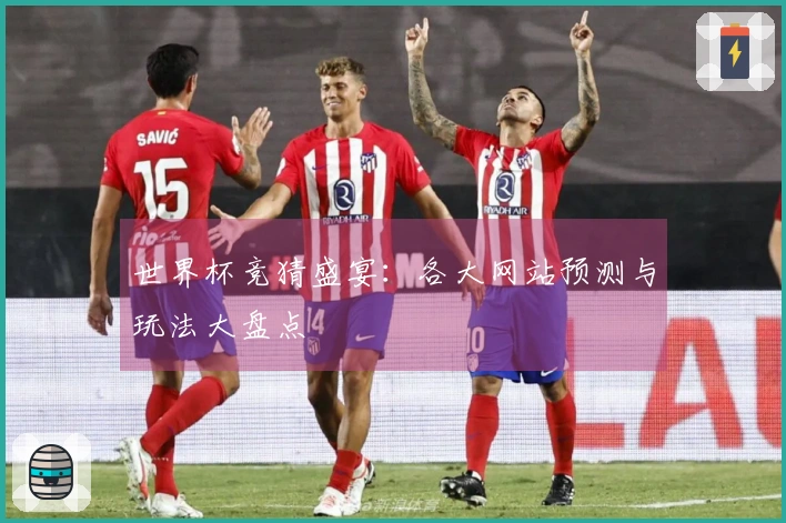 世界杯竞猜盛宴：各大网站预测与玩法大盘点