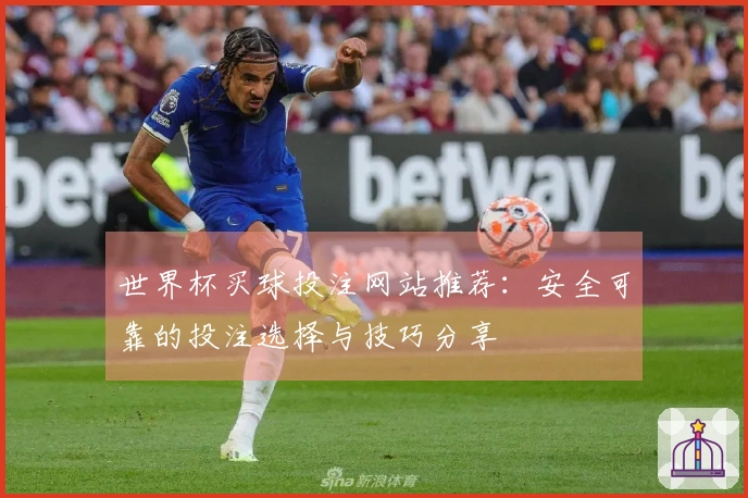 世界杯买球投注网站推荐：安全可靠的投注选择与技巧分享