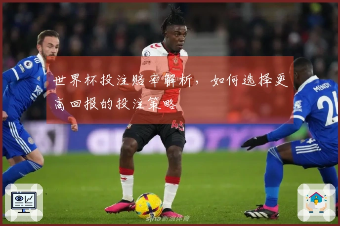 世界杯投注赔率解析，如何选择更高回报的投注策略