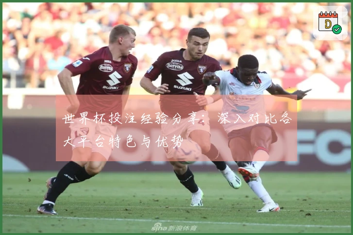 世界杯投注经验分享：深入对比各大平台特色与优势
