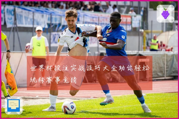 世界杯投注实战技巧大全助你轻松玩转赛事竞猜
