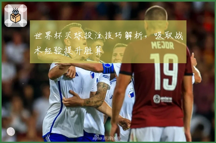 世界杯买球投注技巧解析，吸取战术经验提升胜算