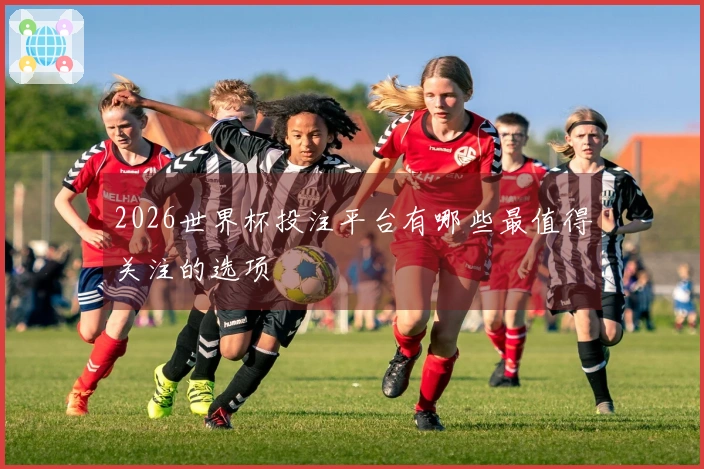 2026世界杯投注平台有哪些最值得关注的选项