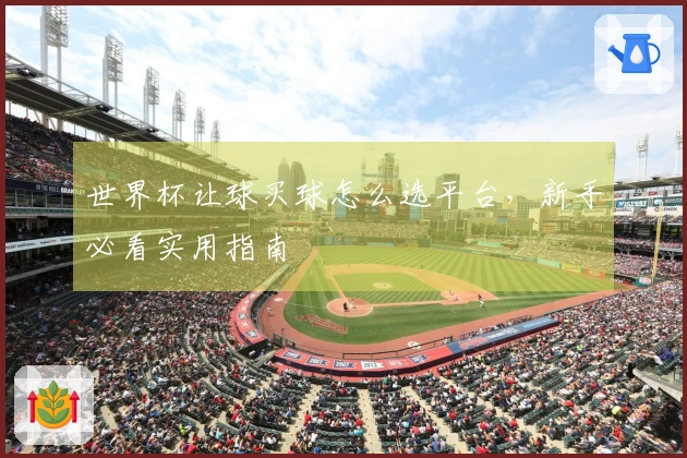 世界杯让球买球怎么选平台，新手必看实用指南