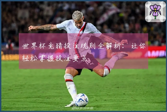 世界杯竞猜投注规则全解析：让你轻松掌握投注要点