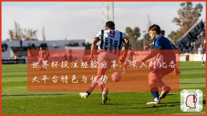 世界杯投注经验分享：深入对比各大平台特色与优势