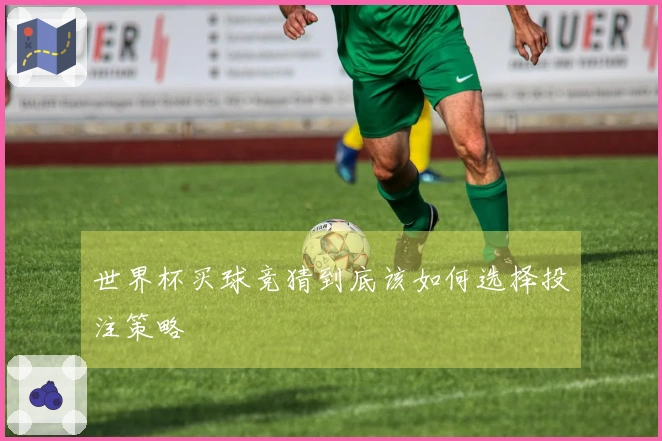 世界杯买球竞猜到底该如何选择投注策略