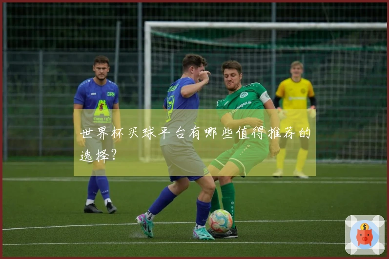 世界杯买球平台有哪些值得推荐的选择？