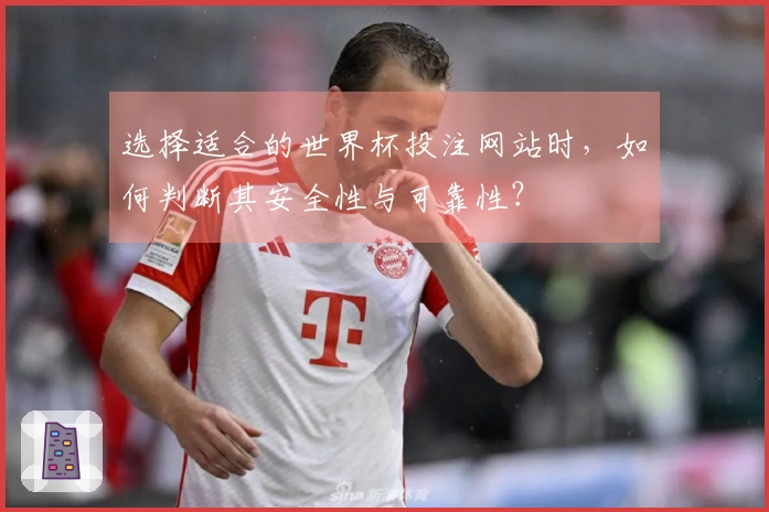 选择适合的世界杯投注网站时，如何判断其安全性与可靠性？