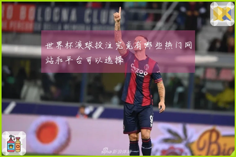 世界杯滚球投注究竟有哪些热门网站和平台可以选择