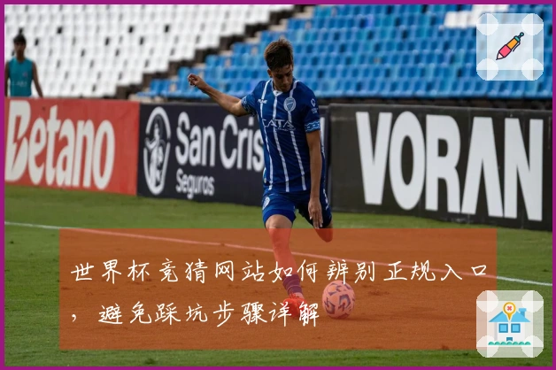 世界杯竞猜网站如何辨别正规入口，避免踩坑步骤详解