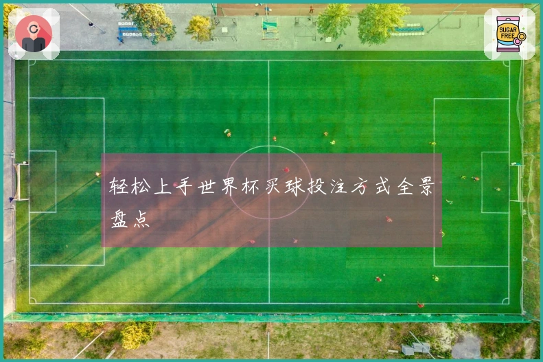 轻松上手世界杯买球投注方式全景盘点