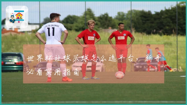 世界杯让球买球怎么选平台，新手必看实用指南
