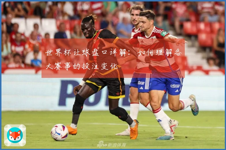 世界杯让球盘口详解：如何理解各大赛事的投注变化