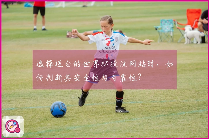 选择适合的世界杯投注网站时，如何判断其安全性与可靠性？