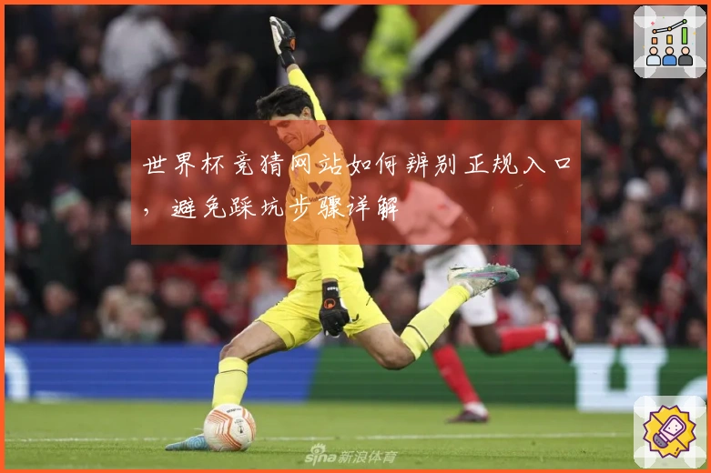 世界杯竞猜网站如何辨别正规入口，避免踩坑步骤详解