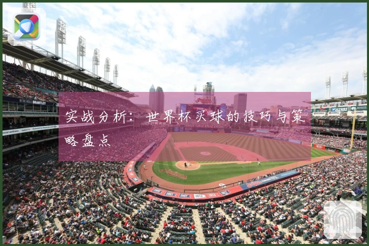 实战分析：世界杯买球的技巧与策略盘点