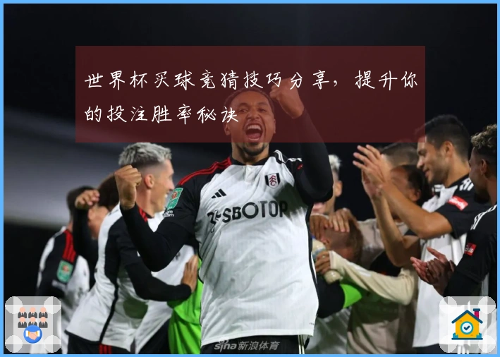 世界杯买球竞猜技巧分享，提升你的投注胜率秘诀